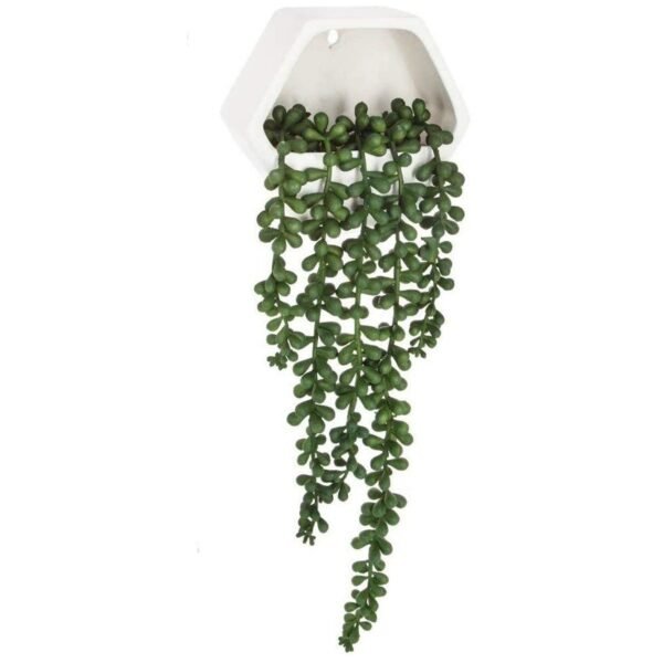 Planta colgante de pared contemporánea- Altura total con planta caída: 45 cm