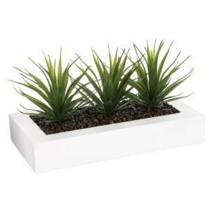 Centro de mesa - 3 Aloe Vera - Altura  17 cm