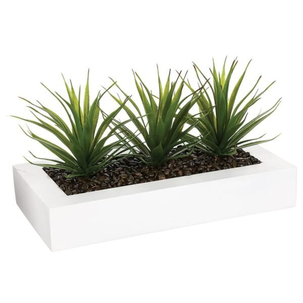 Centro de mesa - 3 Aloe Vera - Altura  17 cm
