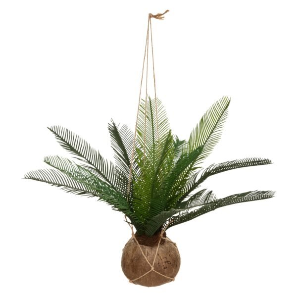 Olla de coco de palma Cuba H 50