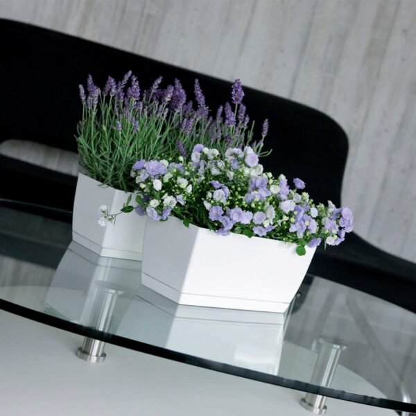 3x Jardinera de plastico Coubi Case P en color blanco 29 (largo) x 14,2 (ancho) x 13,6 (altura) cm - Imagen 4