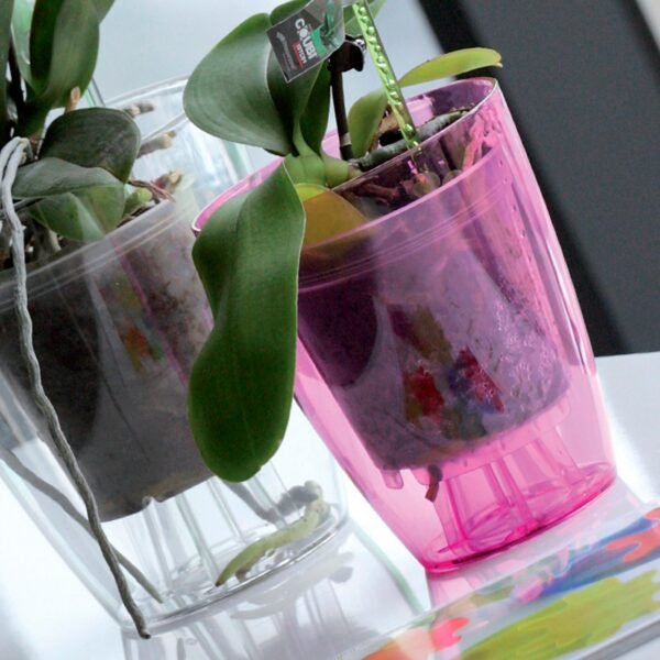3x Macetero orquídea de plastico Coubi Orchid en color blanco transparente 13,2 (largo) x 13,2 (ancho) x 16 (altura) cm - Imagen 4