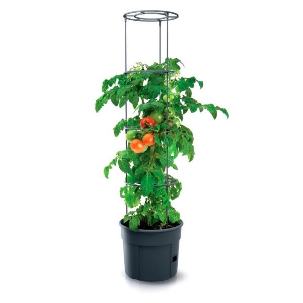 Macetero de tomates Prosperplast Tomate Grower de plastico en color antracita 29,5 (largo) x 29,5 (ancho) x 23,6-115,2 (alto) cm - Imagen 3