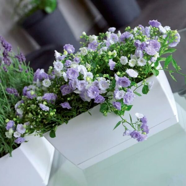 Jardinera de plastico Coubi Case P en color blanco 24 (largo) x 12 (ancho) x 11 (altura) cm - Imagen 3