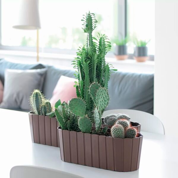 Jardinera para balcón BOARDEE BASIC 7,9L., dimensiones (mm) 587x144x130, color Marrón - Imagen 4