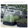 Semillero/bandeja multiusos con tapa de policarbonato RESPANA TABLE GREENHOUSE 3,6L., dimensiones (mm) 391x257x185, color Gris piedra - Imagen 2