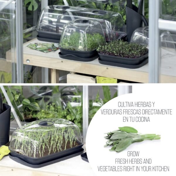 Semillero/bandeja multiusos con tapa de policarbonato RESPANA TABLE GREENHOUSE 3,6L., dimensiones (mm) 391x257x185, color Gris piedra - Imagen 4
