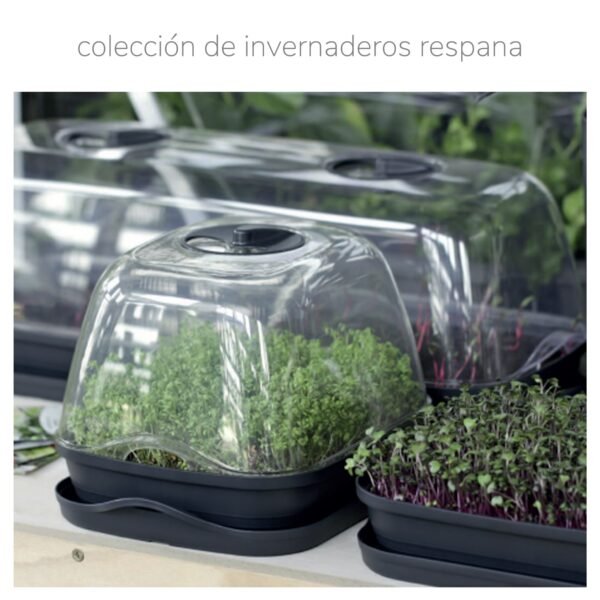 Semillero/bandeja multiusos con tapa de policarbonato RESPANA TABLE GREENHOUSE 3,6L., dimensiones (mm) 391x257x185, color Antracita - Imagen 2