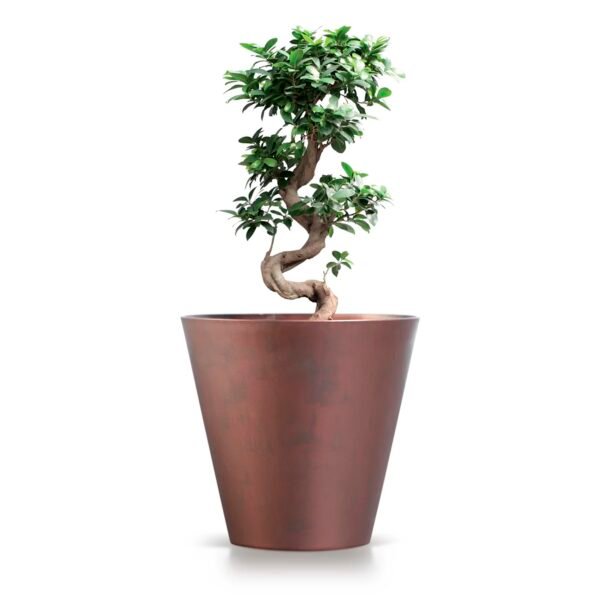 Maceta TUBUS CORTEN 28,5L., dimensiones (mm) 400x400x373, color Cobre - Imagen 4