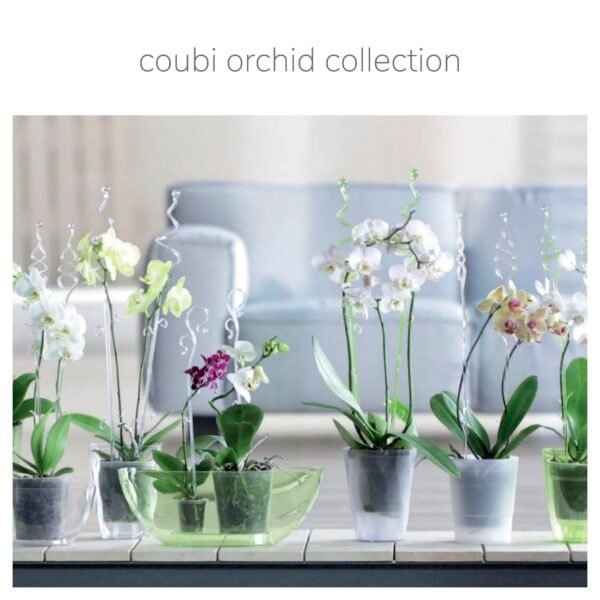 Maceta COUBI ORCHID 3,8L., dimensiones (mm) 360x150x132, color Transparente - Imagen 2