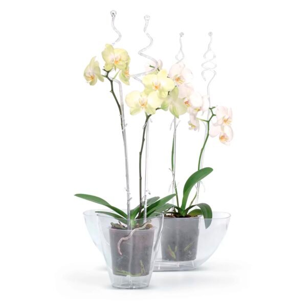 Maceta COUBI ORCHID 3,8L., dimensiones (mm) 360x150x132, color Transparente - Imagen 4