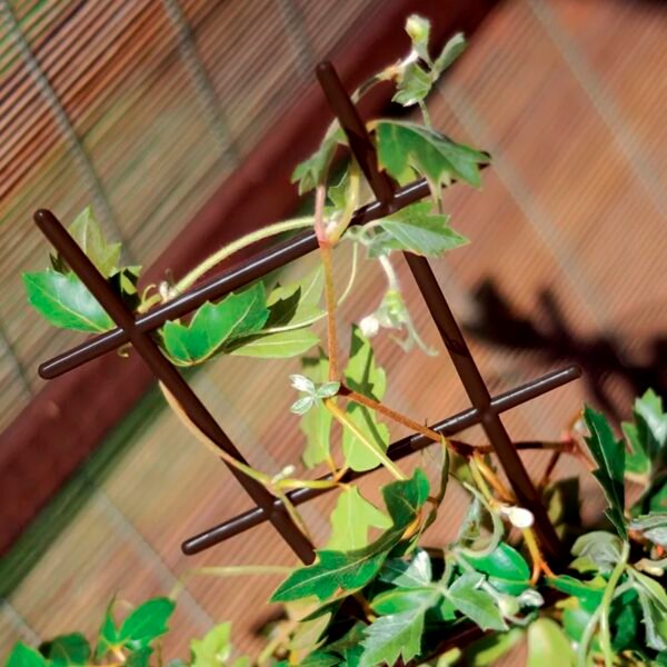 Escalera para planta trepadora DRAB , dimensiones (mm) 200x670, color Marrón - Imagen 4