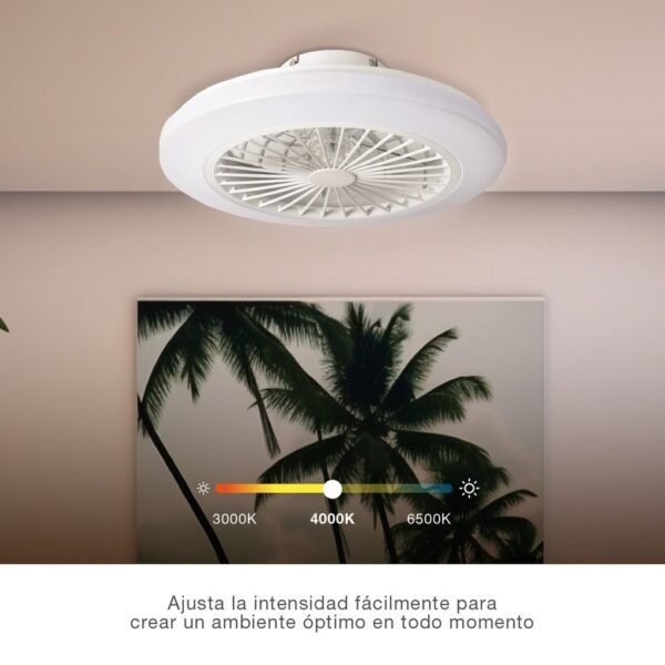 Ventilador techo Box Fan Talsano con luz CCT regulable y mando Ø50 8 aspas DC Blanco - Imagen 3