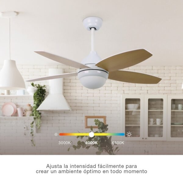 Ventilador techo Muna con luz CCT regulable y mando Ø91 4 aspas Blanco - Imagen 4